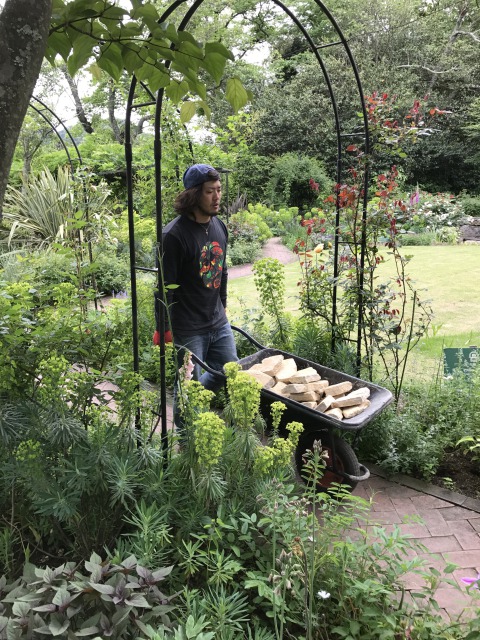 コッウオルス石運び