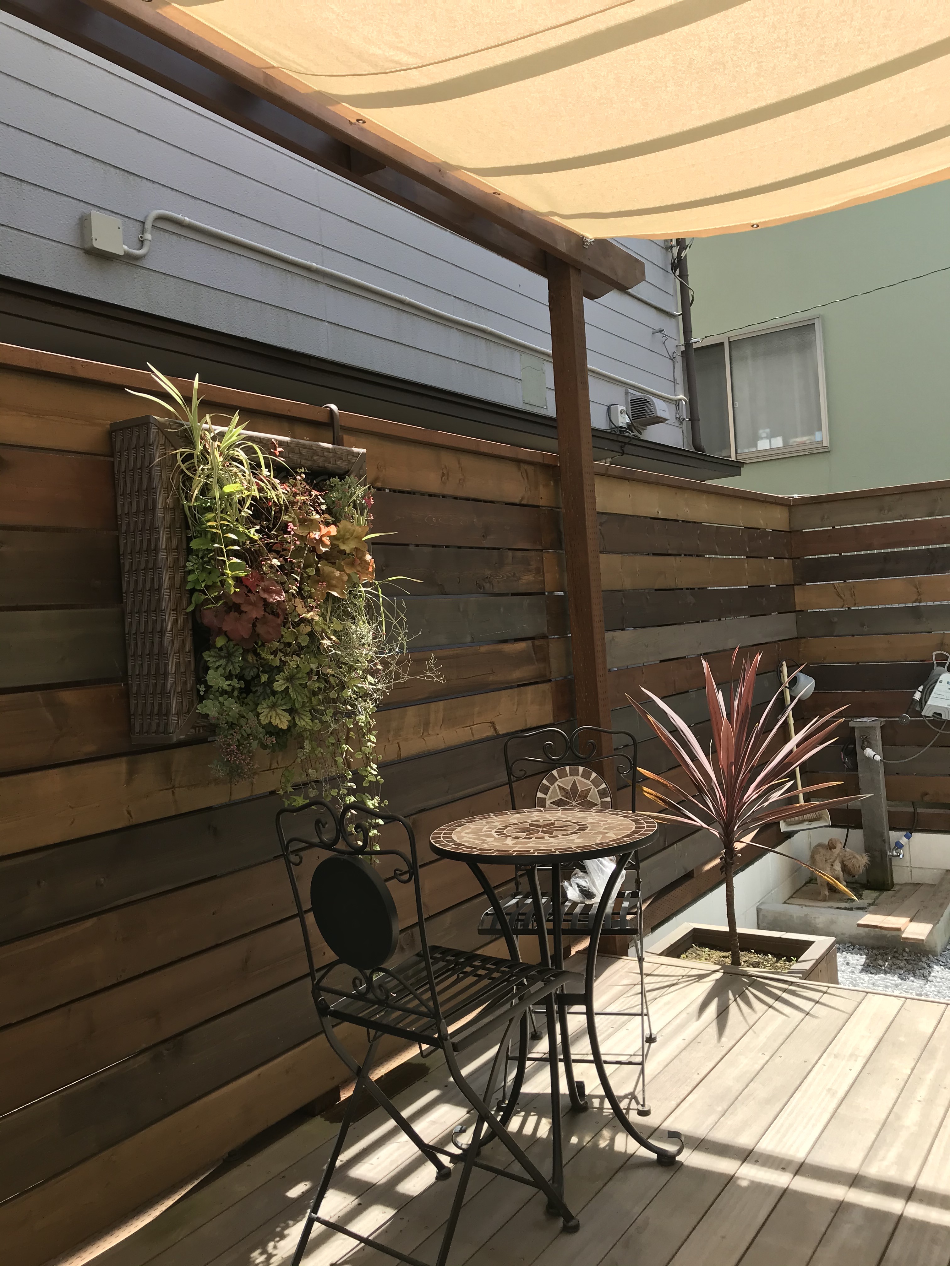 横須賀　フェンス　額縁緑化良い感じです