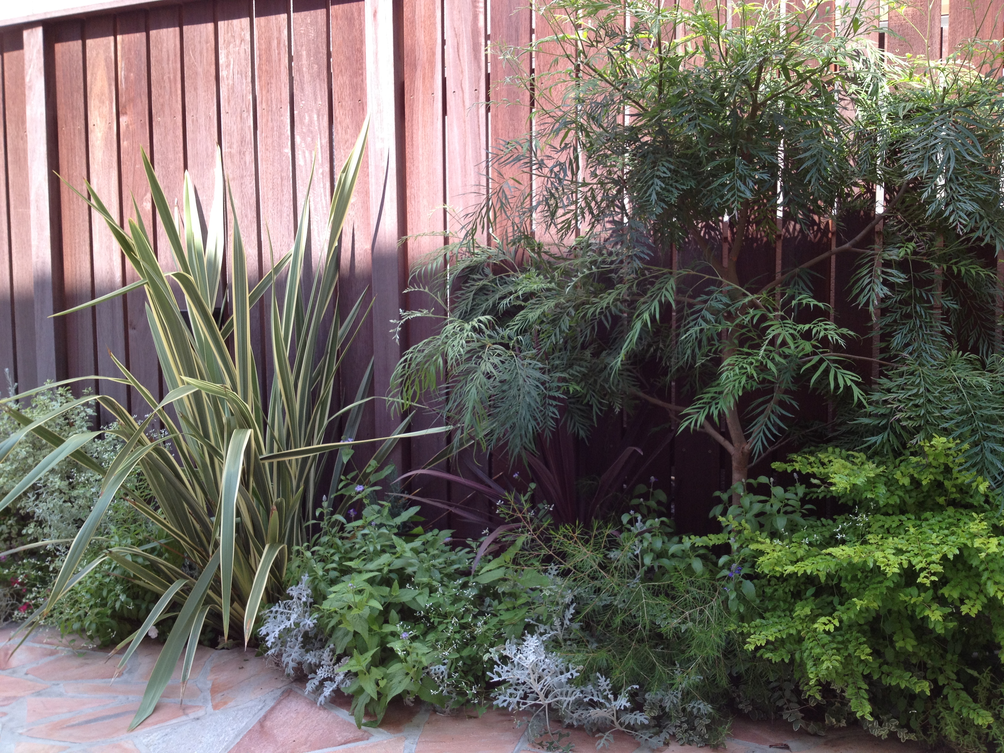 フェンス前の植栽は、決まりますね