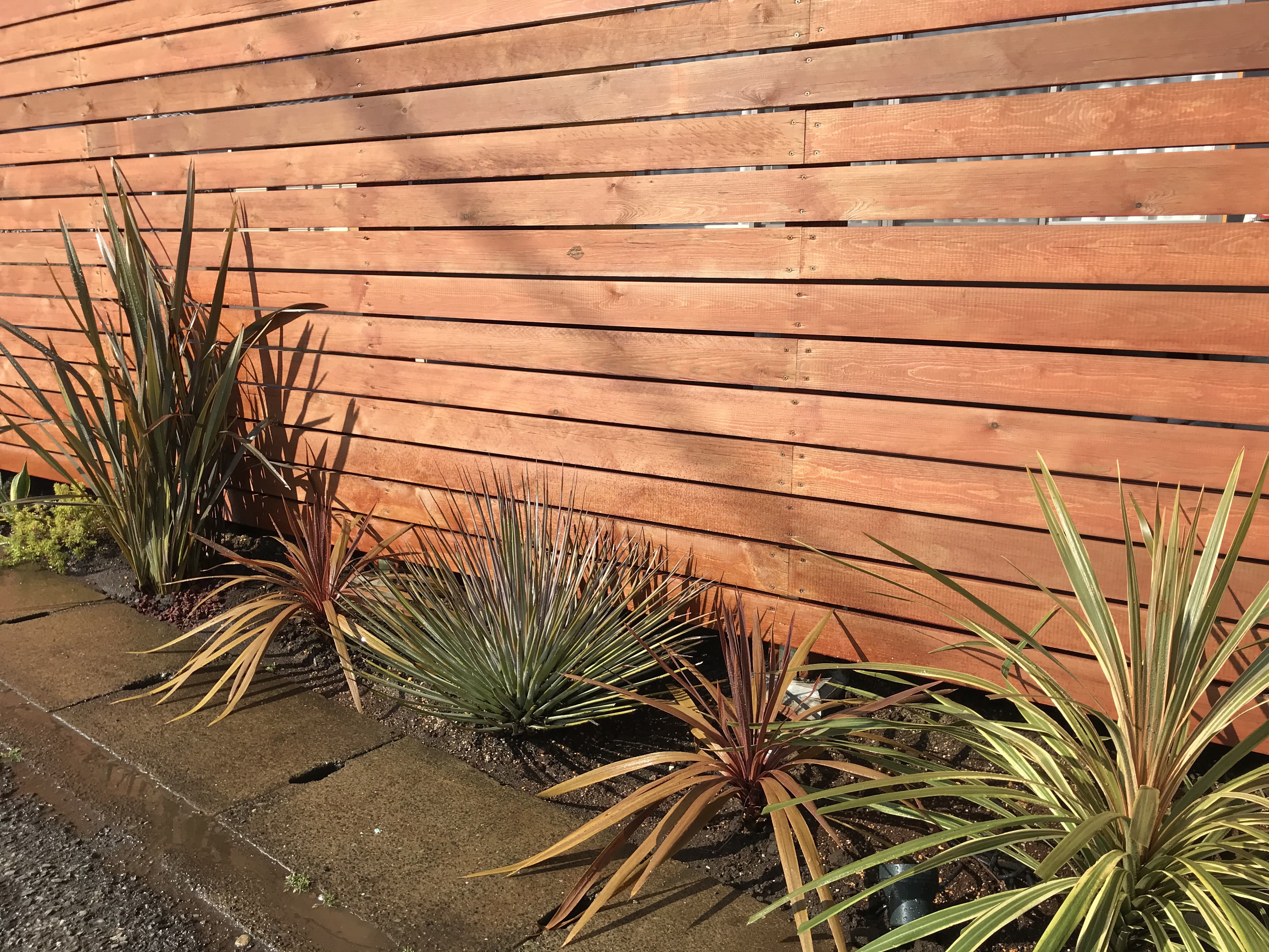 大磯　　植栽にも目線が行き、道路からの視線を隠すフェンス。