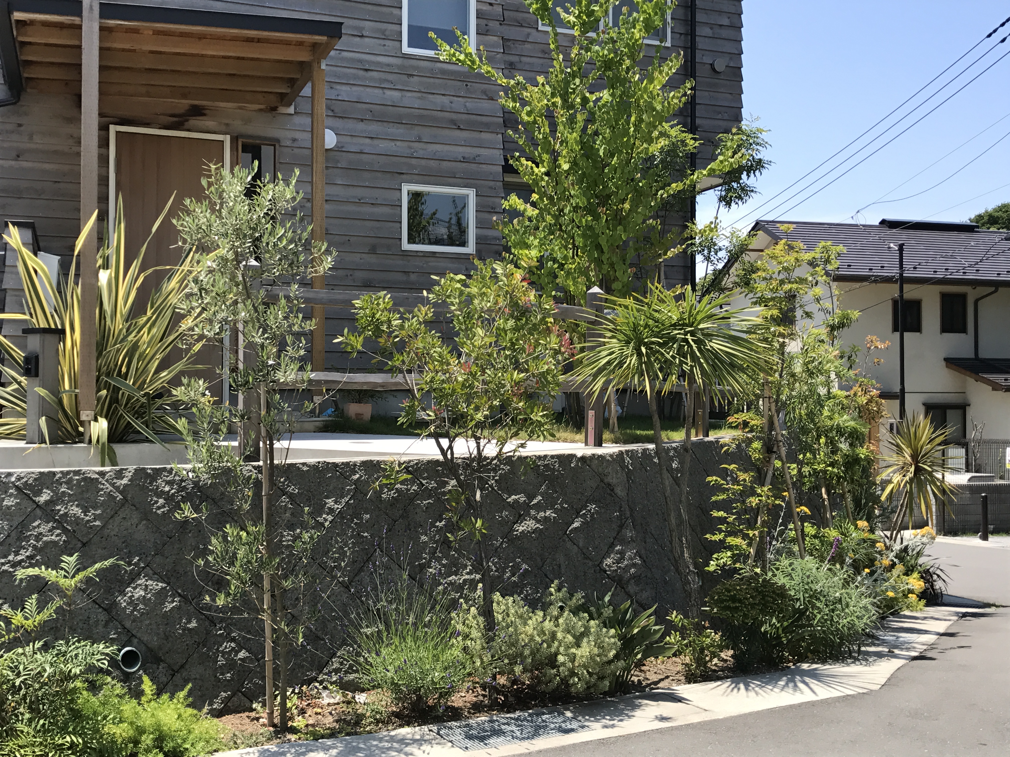 擁壁前の植栽　潮害地域ながらよく育つ