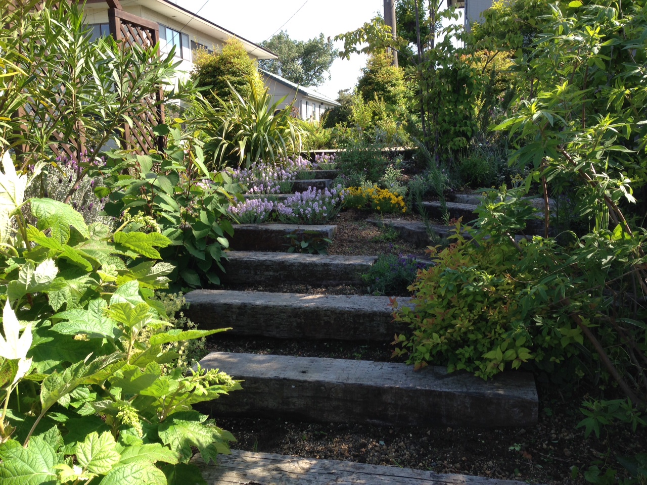 静岡県伊東市　植栽と枕木園路。庭は日々変化しますね