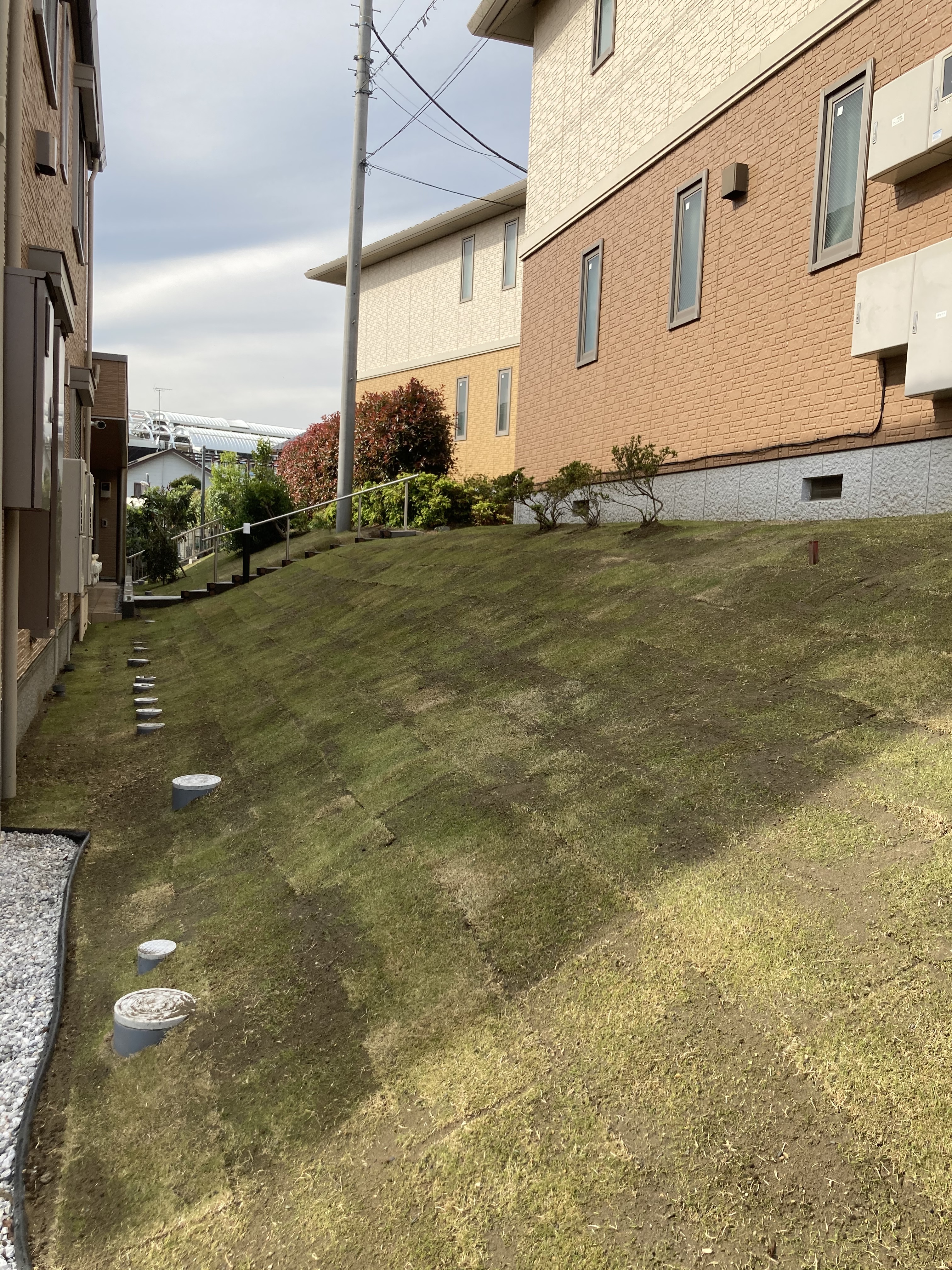 横浜　芝生で土留め