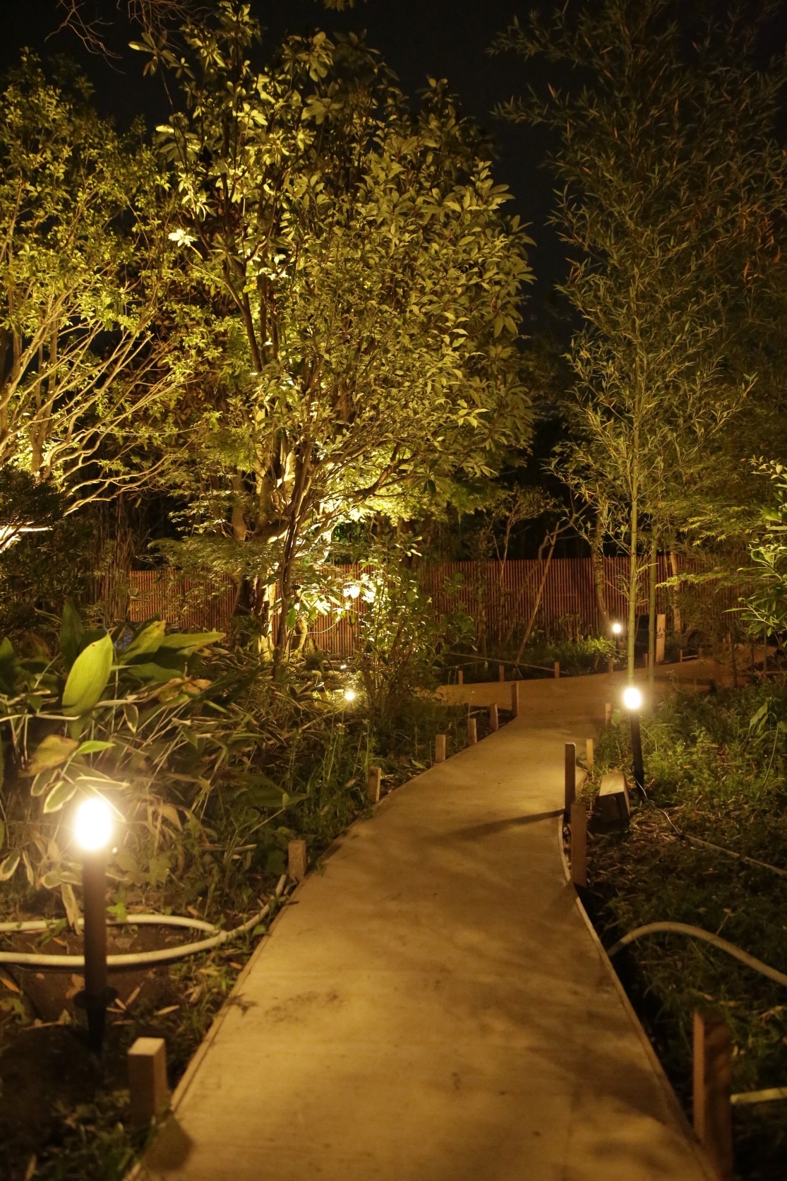 植栽　園路　照明　もうすぐ完成！