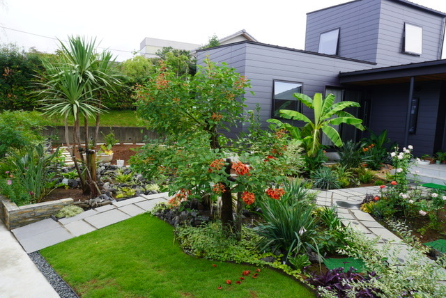 春になり　夏になり良い感じになってきた　