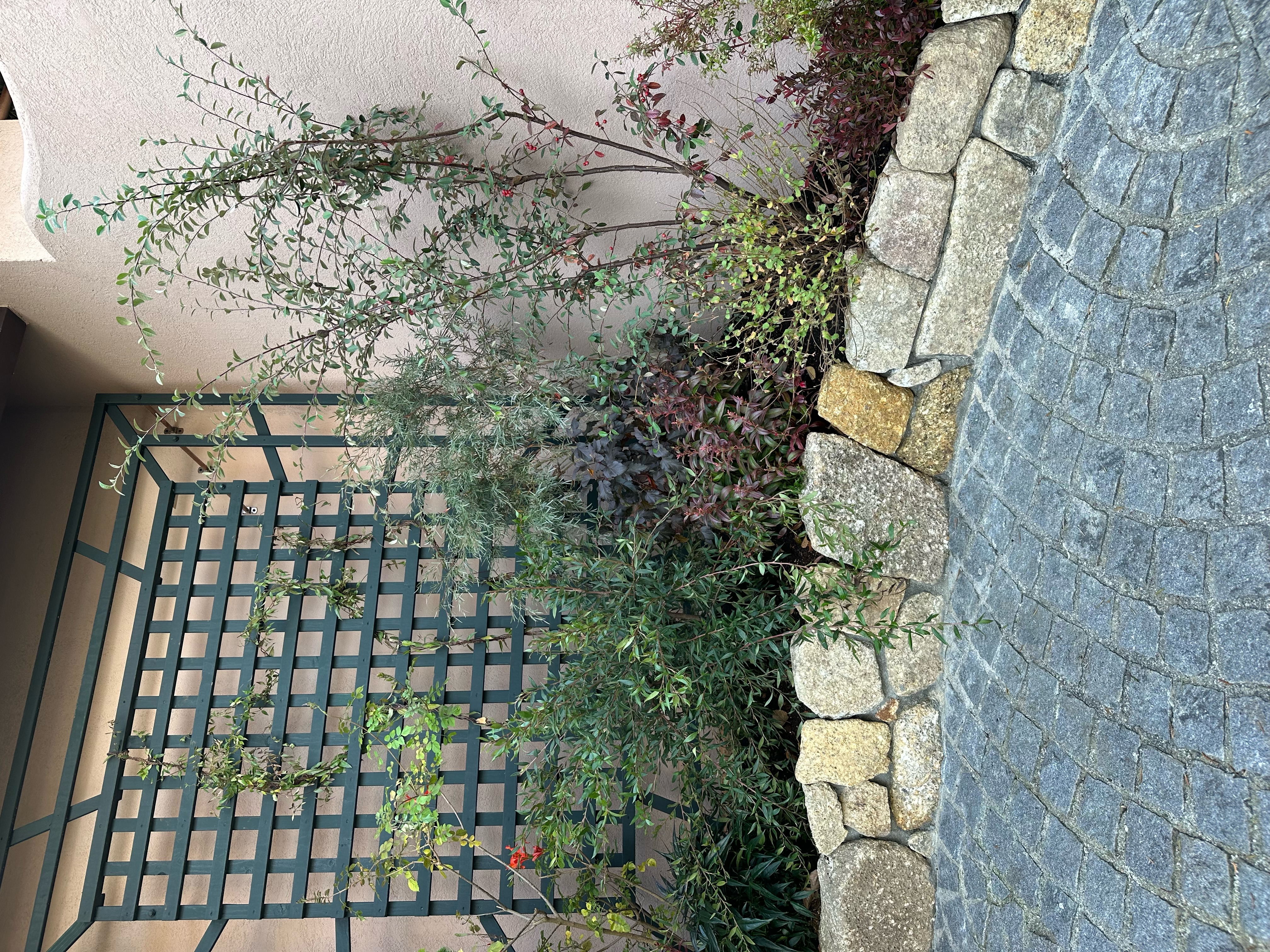 狭いながらも良いバランスになった