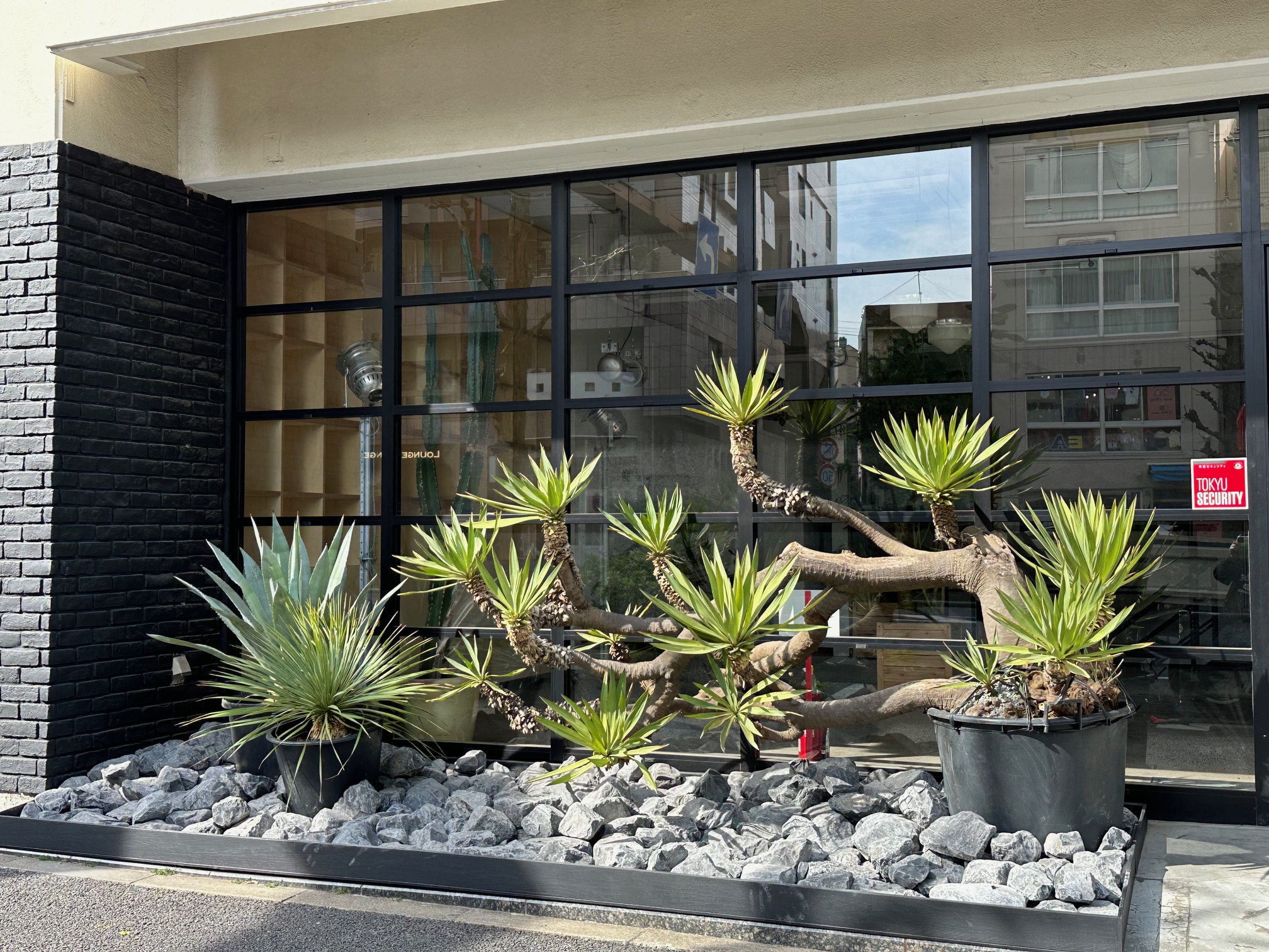 代官山　迫力が欲しかった限られたスペース