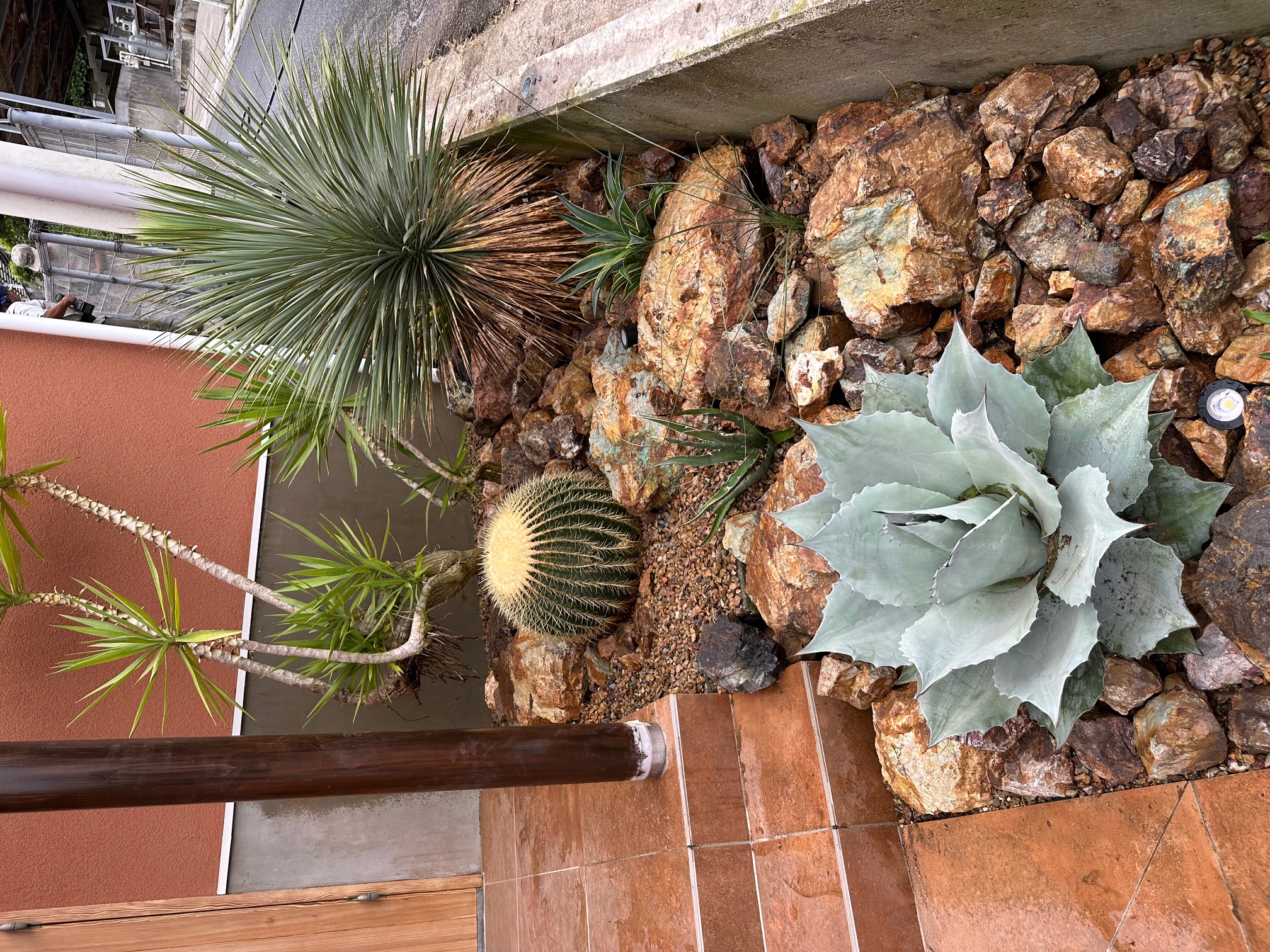 庭　リニューアル 2　ロックガーデンに